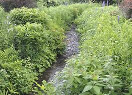 ザ ジャクソン 写真