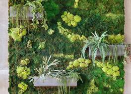 Landgut A. Borsig 写真