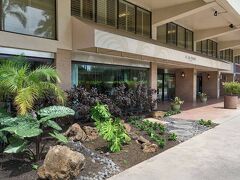 アクア パームズ ワイキキ 写真