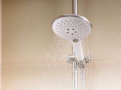 NH バリローチェ エーデルワイス 写真