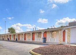 コービン イン 写真