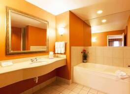 ヒルトン ガーデン イン シカゴ ティンリーパーク 写真