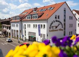 ホテル アンド レストラン ゴールドナー プルグ