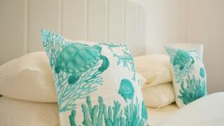 フィーリング エドゥアルド VII