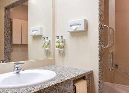 3HB グアラナ 写真