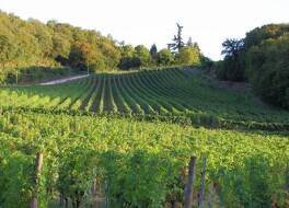 Hotel Villa Moron 写真