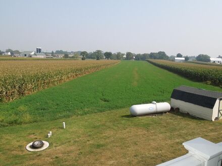 スコティッシュ イン ロンクス 写真