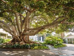 フェアモント ミラマー ホテル アンド バンガローズ 写真