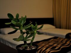 カフェ アロマ イン 写真