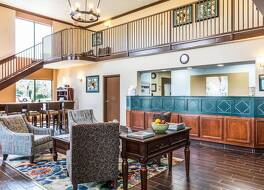 クオリティ スイーツ 写真