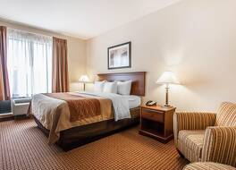 コンフォート イン & スイーツ アトカ - ミリントン 写真