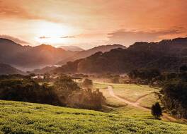 One and Only Nyungwe House 写真