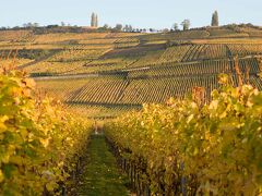 ibis Styles Colmar Centre 写真