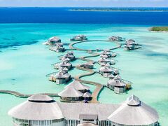 ソネバ ジャニ 写真