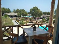 ブラック ローズ スイーツ 写真