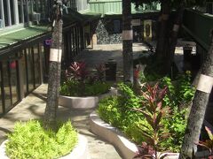 クヒオ バンヤン クラブ 写真