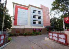 Ginger Mysore 写真