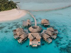 ココ ボドゥ ヒシ 写真