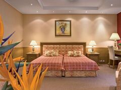 ディヴァニ パレス アクロポリス ホテル 写真