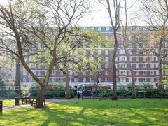 Tavistock Hotel 写真