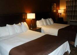 デイズ イン ファイフ 写真