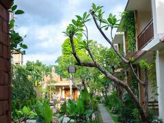 サポディラ ウブド 写真