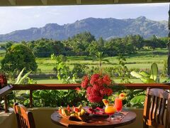 ノボテル ナディ 写真