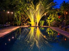 メイソンズ ワット コ 写真