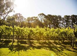 ポルペロ ヴィラズ 写真