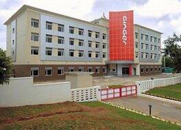 Ginger Mysore 写真