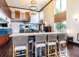 クオリティ スイーツ 写真