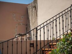 La Maison Ottomane 写真