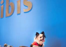 イビス リスボア ジョゼ マリョーア 写真