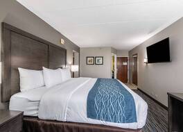 コンフォート  イン シカゴ シャンバーグ - オヘア エアポート 写真