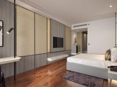 ヴィヴァンタ ターネ LBS ロード 写真