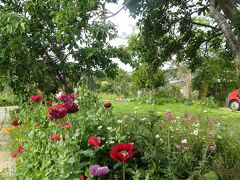 The School House 写真