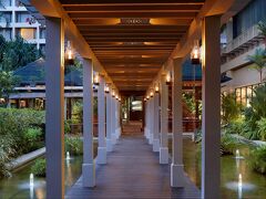 シナモン グランドコロンボ 写真