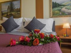 トップホテル プラハ 写真