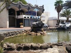 レイク ハウスキネレト 写真