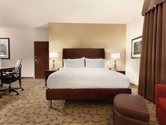 ヒルトンガーデンインロチェスターダウンタウン、NY 写真