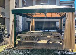 コンフォート  イン & スイーツ ナッシュビル ダウンタウン - スタジアム 写真