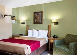 エコノ ロッジ カスター 写真