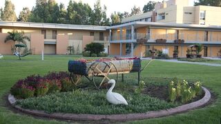 ノフ ジノサール ホテル