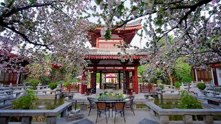 Tang Dynasty Art Garden Hotel