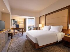 ラムセス ヒルトン 写真