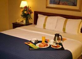 ホリデイ イン ホテル ＆ スイーツ シカゴ ダウンタウン バイ IHG 写真