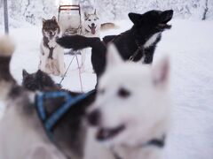 サーリセルカ イン 写真