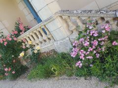 ラ ロズレ 写真