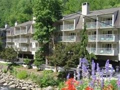 ゲートリンバーグ リバー イン 写真