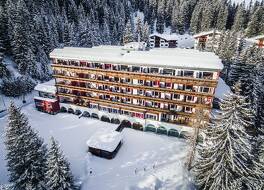 Blatter's Arosa Hotel & Bella Vista SPA 写真